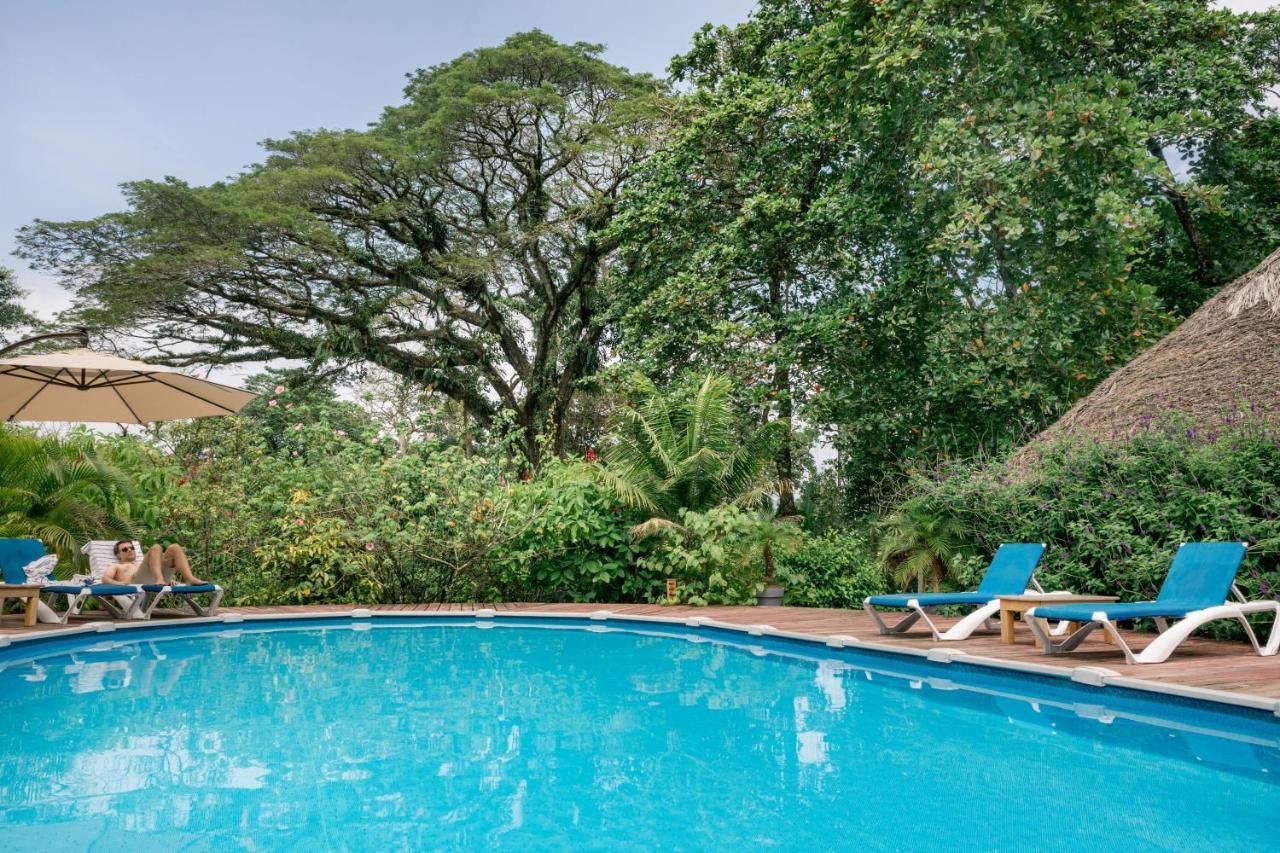 Hotel The Hummingbird Bocas del Toro Exterior foto